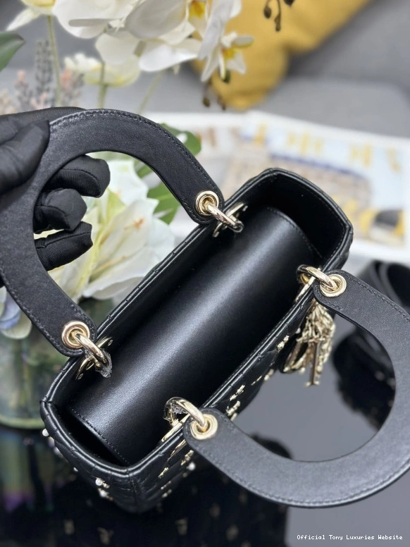 Tony Luxuries DI0R-20CM LADY 0805